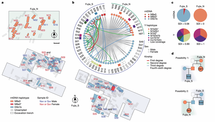 重大成果!Nature发表!